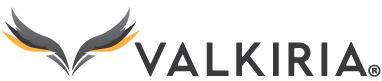 Valkiria Consultores SpA